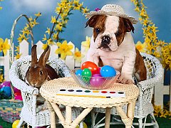 Easter Tea Party